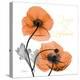 Impossible Iceland Poppy-Albert Koetsier-Stretched Canvas