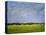 Impressionistic Harvest Field and Truck-Robert Cattan-Premier Image Canvas