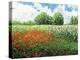 Impressionists Garden-Kevin Dodds-Premier Image Canvas