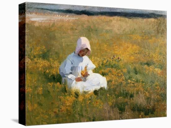 In a Field of Buttercups-Marianne Stokes-Premier Image Canvas