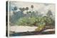 In a Florida Jungle (W/C over Graphite on Paper)-Winslow Homer-Premier Image Canvas