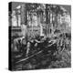 In a Great Pine Forest, Collecting Turpentine, North Carolina, USA, Late 19th or Early 20th Century-null-Premier Image Canvas