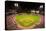 In a night game and a light rain mist, the Florida Marlins beat the 2006 World Series Champion b...-null-Premier Image Canvas