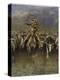 In a Stampede-Frederic Sackrider Remington-Premier Image Canvas