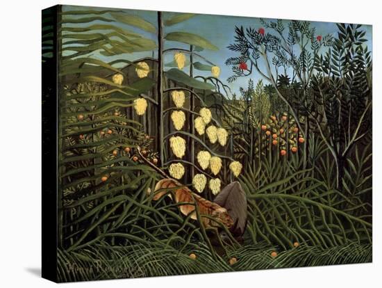 In a Tropical Forest. Struggle Between Tiger and Bull, 1908-1909-Henri Rousseau-Premier Image Canvas