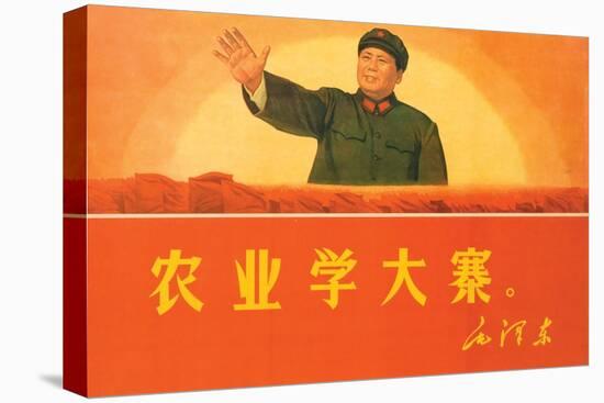 In Agriculture, Learn from Da Zhai, 1969-null-Premier Image Canvas