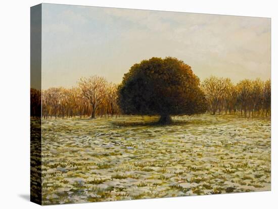 In Anticipation Of The Spring-kirilstanchev-Stretched Canvas