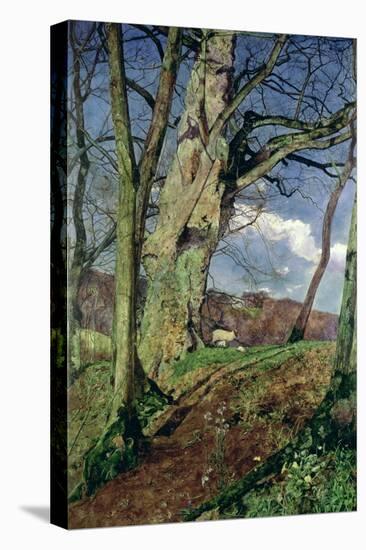 In Early Spring: a Study in March-John William Inchbold-Premier Image Canvas