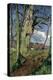 In Early Spring: a Study in March-John William Inchbold-Premier Image Canvas