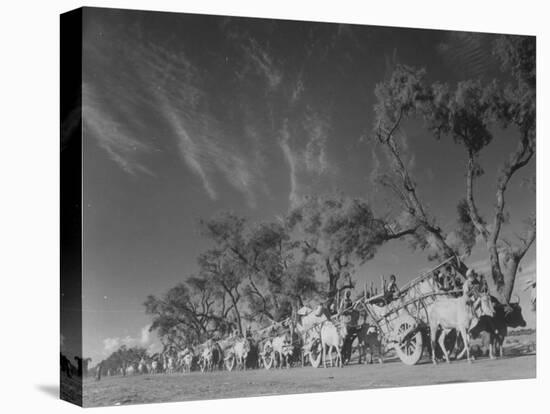 In Heavy-Wheeled Carts, Refugees Making their Way to India-Margaret Bourke-White-Premier Image Canvas