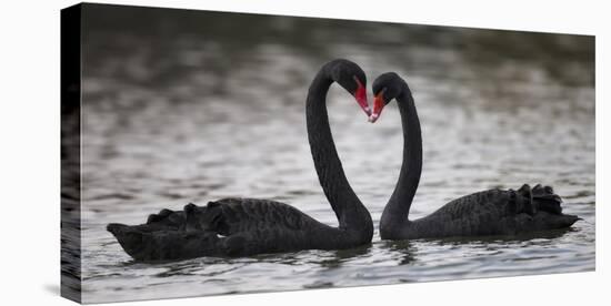 In Love-C.S. Tjandra-Premier Image Canvas