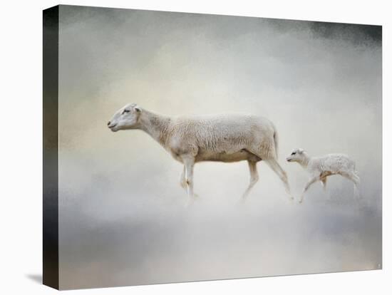 In My Mothers Footsteps Sheep and Lamb-Jai Johnson-Premier Image Canvas