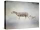 In My Mothers Footsteps Sheep and Lamb-Jai Johnson-Premier Image Canvas