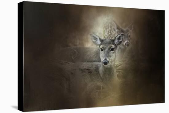 In Our Woods-Jai Johnson-Premier Image Canvas