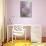 In Pink Delight-Heidi Westum-Stretched Canvas displayed on a wall