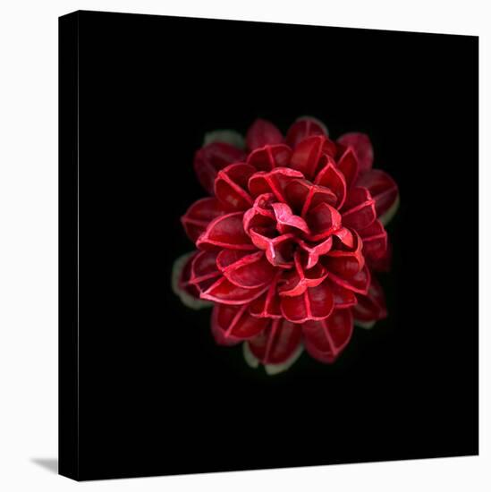 In Red-PhotoINC-Premier Image Canvas