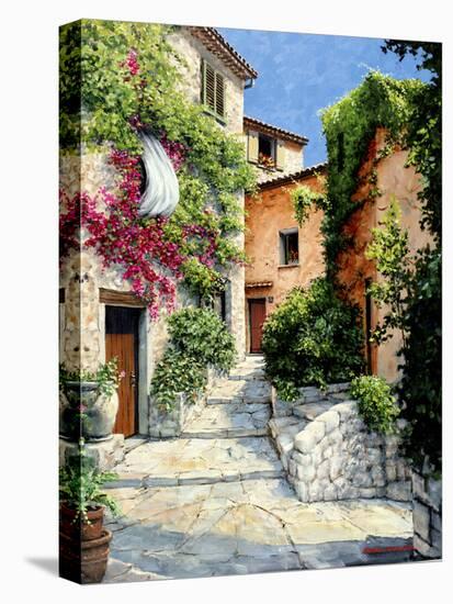 In the Alpes-Maritime, Provence-Michael Swanson-Stretched Canvas