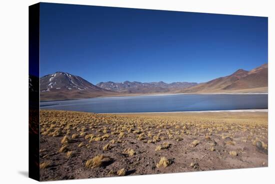 In the Altiplano of the Antofagasta Region of Chile, Is Miniques Lake-Mallorie Ostrowitz-Premier Image Canvas