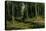 In the Birch Tree Forest, 1883-Ivan Ivanovitch Shishkin-Premier Image Canvas