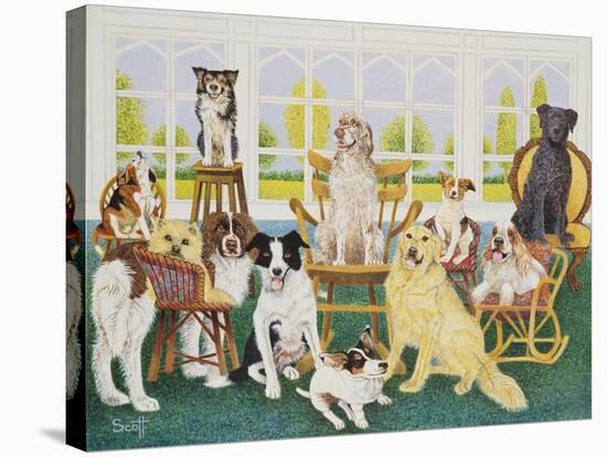 In the Dog House-Pat Scott-Premier Image Canvas