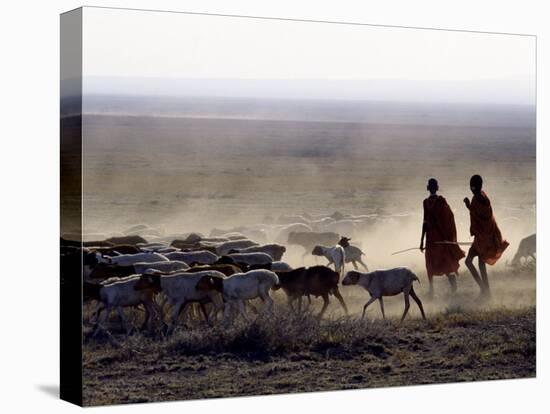 In the Early Morning, a Maasai Herdsboy and His Sister Drive their Flock of Sheep across the Dusty -Nigel Pavitt-Premier Image Canvas