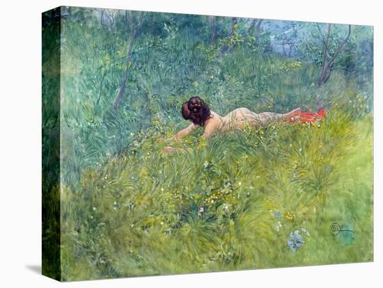 In the Grass (I Groengraset), 1902-Carl Larsson-Premier Image Canvas