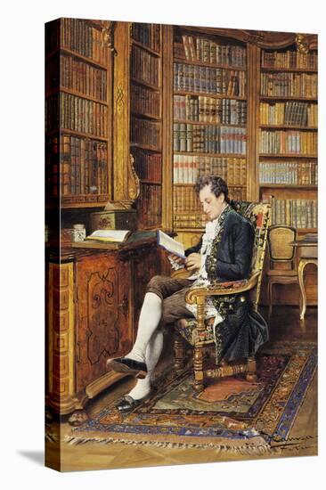 In the Library-Johann Hamza-Premier Image Canvas