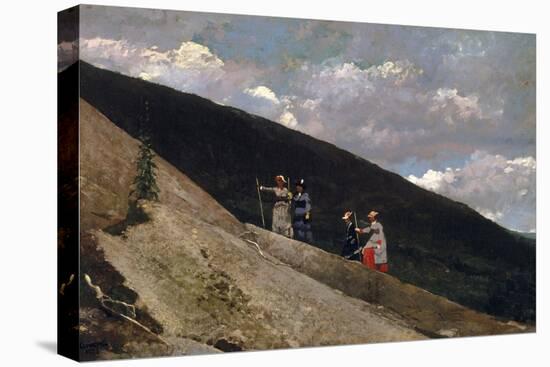 In The Mountains-Winslow Homer-Premier Image Canvas