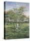 In the Orchard-Lucien Frank-Premier Image Canvas