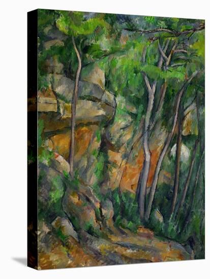 In the Park at Chateau Noir, 1898-1900-Paul Cézanne-Premier Image Canvas