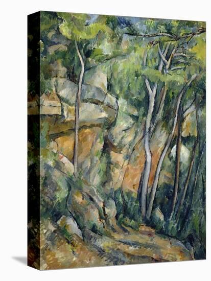 In the Park of Chateau Noir-Paul Cézanne-Premier Image Canvas