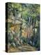 In the Park of Chateau Noir-Paul Cézanne-Premier Image Canvas