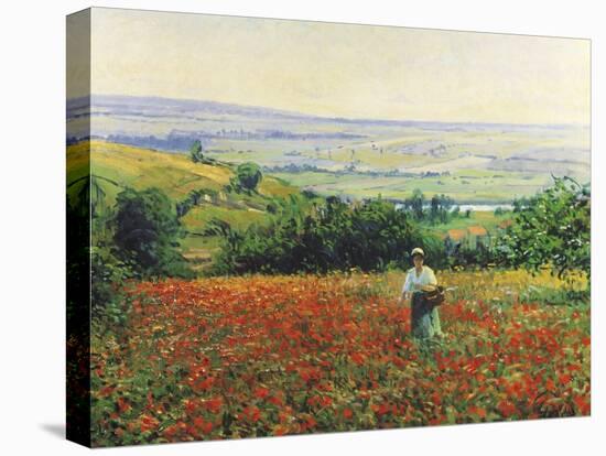 In the Poppy Field-Leon Giran-max-Premier Image Canvas