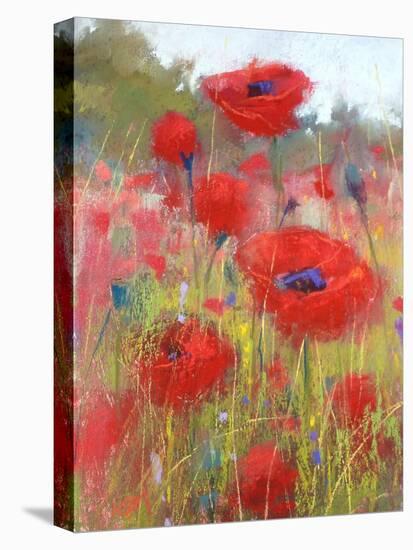 In the Poppy Field-Karen Margulis-Stretched Canvas