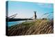 In the Saltworks, Noirmoutier island, Vendee, Pays de la Loire, France-null-Stretched Canvas