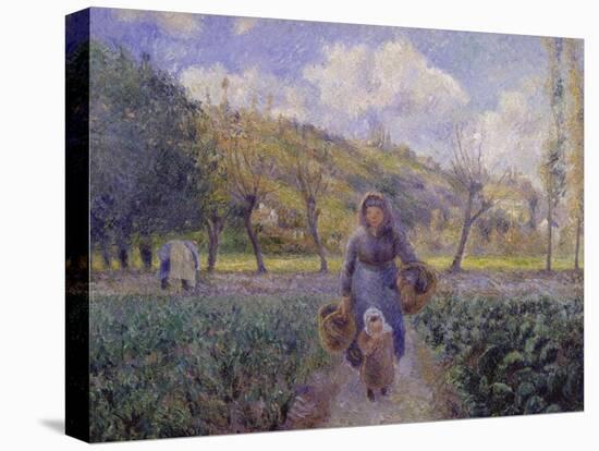 In the Vegetable Garden, 1881-Camille Pissarro-Premier Image Canvas