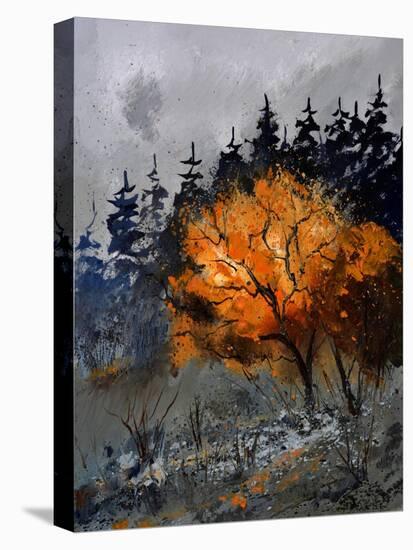 In The Wood 4551-Pol Ledent-Stretched Canvas