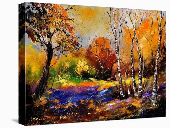In The Wood 673180-Pol Ledent-Stretched Canvas
