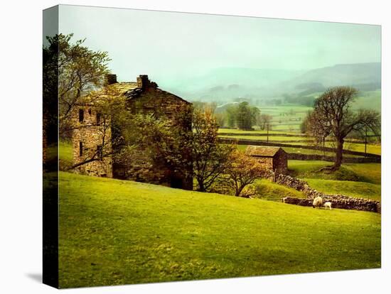 In the Yorkshire Dales-Jody Miller-Premier Image Canvas