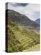 Inca Terraces, Pisac, Sacred Valley, Cusco Region, Peru, South America-Karol Kozlowski-Premier Image Canvas