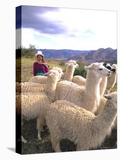 Inca Woman in Costume with Llamas, Cuzco, Peru-Bill Bachmann-Premier Image Canvas