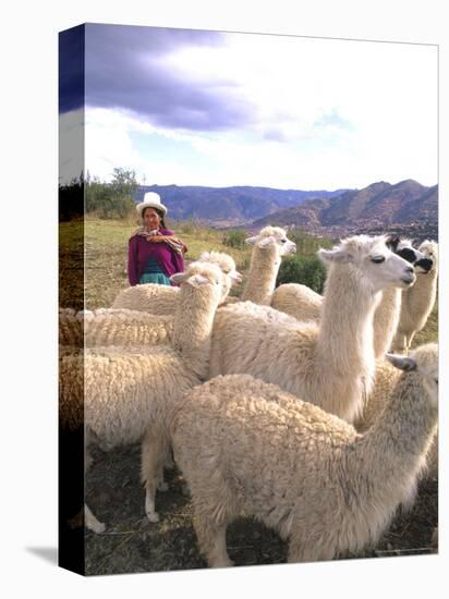 Inca Woman in Costume with Llamas, Cuzco, Peru-Bill Bachmann-Premier Image Canvas