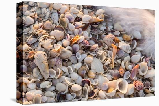 Incoming Surf and Seashells on Sanibel Island, Florida, USA-Chuck Haney-Premier Image Canvas