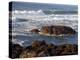 Incoming Tide at Yachats, Yachats, Oregon, USA-Michel Hersen-Premier Image Canvas