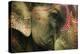 India, Bihar, Patna, Sonepur Mela Cattle Fait, Painted Elephant-Anthony Asael-Premier Image Canvas