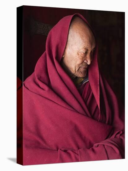 India, Ladakh, Likir, Senior Monk at Likir Monastery, Ladakh, India-Katie Garrod-Premier Image Canvas