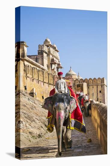 India, Rajasthan, Jaipur-Nigel Pavitt-Premier Image Canvas