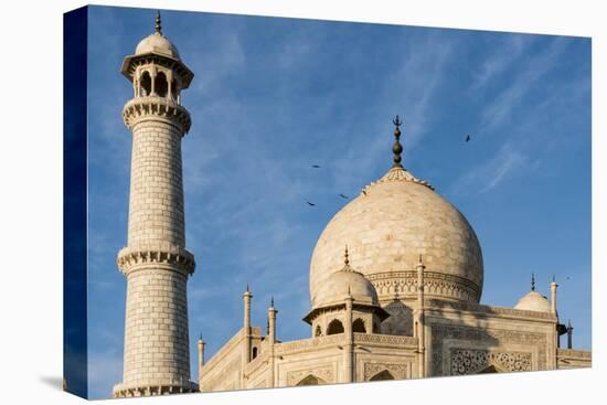 India, Uttar Pradesh. Agra. Taj Mahal tomb dome and minaret-Alison Jones-Premier Image Canvas