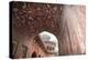 India, Uttar Pradesh, Agra. the Mosque's Arches-Emily Wilson-Premier Image Canvas