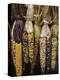 Indian Corn on Display, Acton, Massachusetts, USA-Merrill Images-Premier Image Canvas